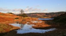 long moss tarn torver coniston.jpg
